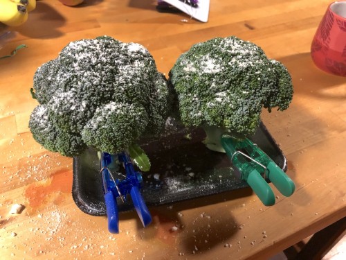 broccoli 2