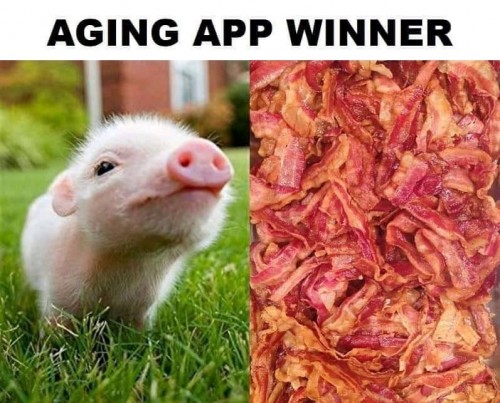 Aging App