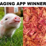 Aging-App